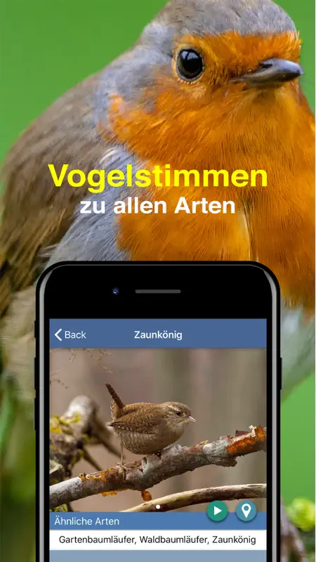 Vogel Id Gartenvögel bestimmen screenshot 6 of 9