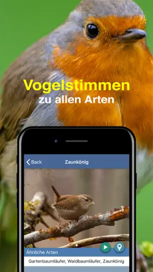 Screenshot von Vogel Id Gartenvögel Bestimmen auf dem iPhone 6