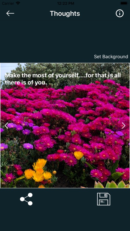 Motivation Thoughts screenshot-5