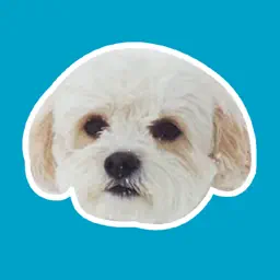 Precious Puppies app icon