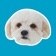 Precious Puppies app icon - Stickers app for iPhone