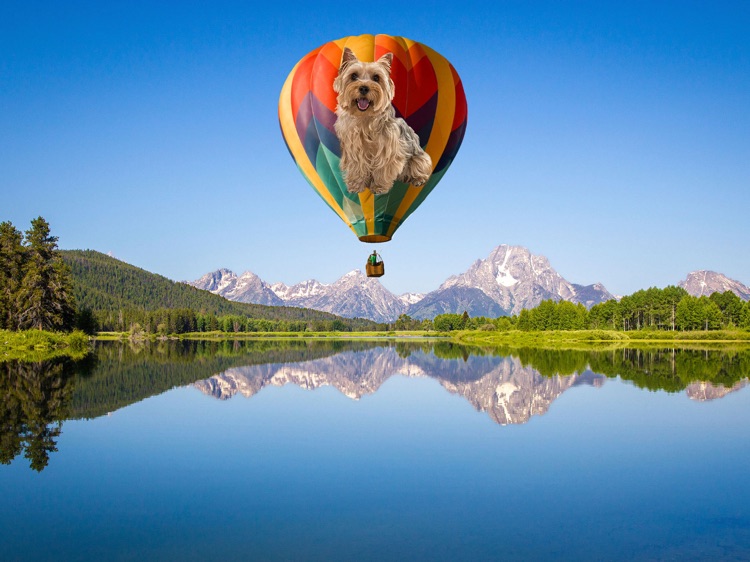 PASKAL 3D Legacy screenshot-4