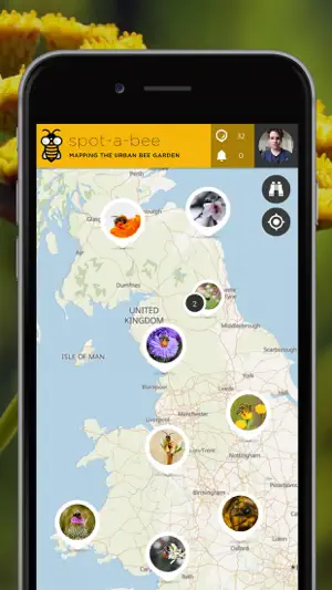 Spot-a-Bee | SPOTTERON screenshot 1