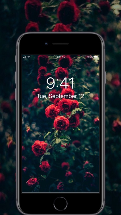 HD Wallpaper - 4K & Full HD screenshot-3