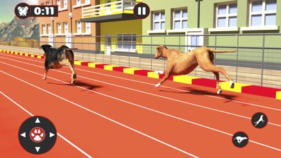 Greyhound Dog Racing Derby Screenshot
