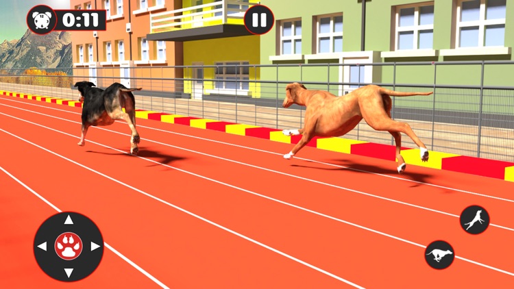 Greyhound Dog Racing Derby screenshot-4
