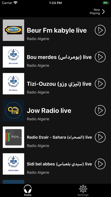 Radios Algérie FM screenshot-8