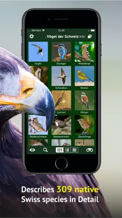 Birds of CH -Photo Guide iPhone image 3