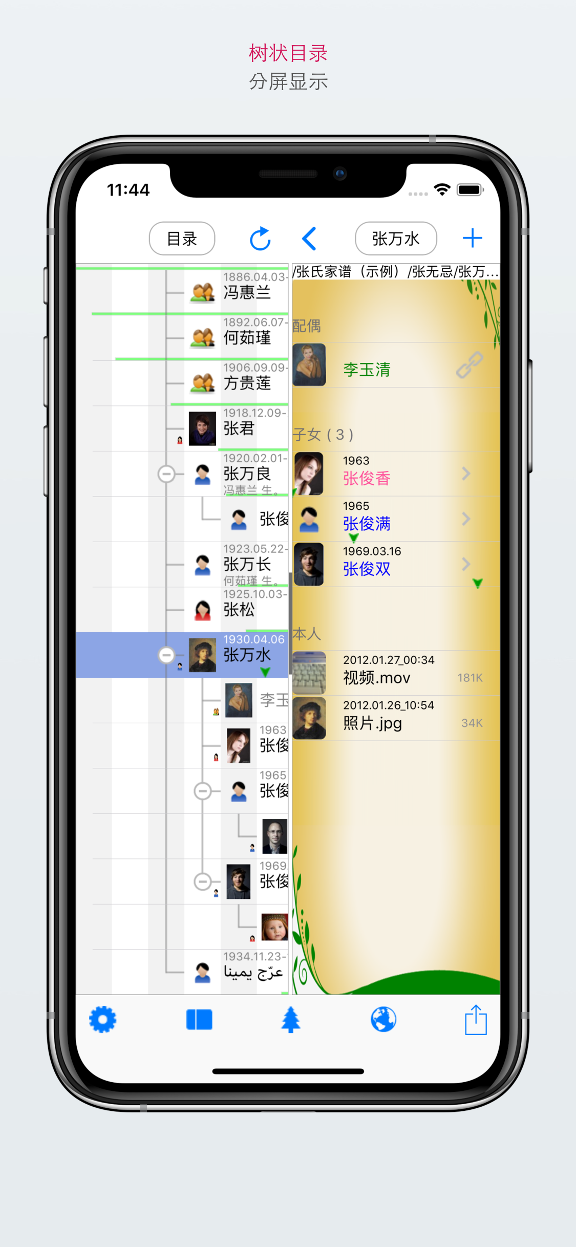 家谱 - Family Tree