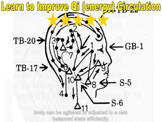 Qigong Massage: Partner iPad screenshot 5 - Health & Fitness app