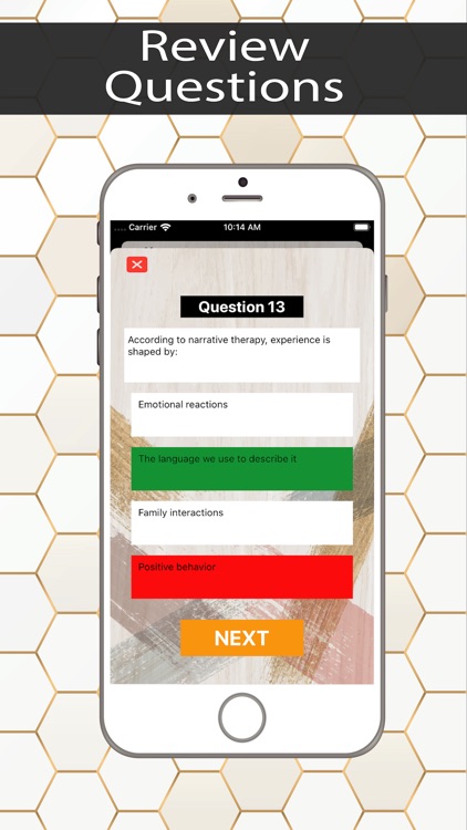 MFT Exam Prep 2020 screenshot-4