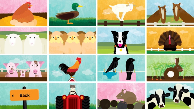 Peek-a-Zoo: The Collection