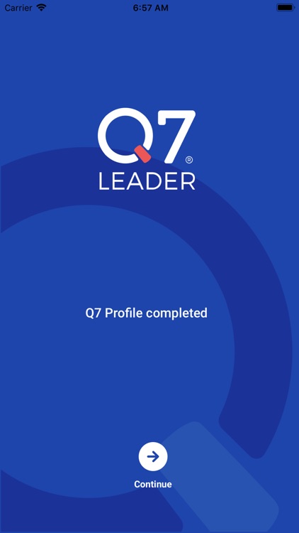 Q7 Leader screenshot-8