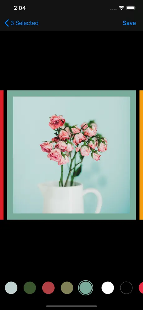 White Border