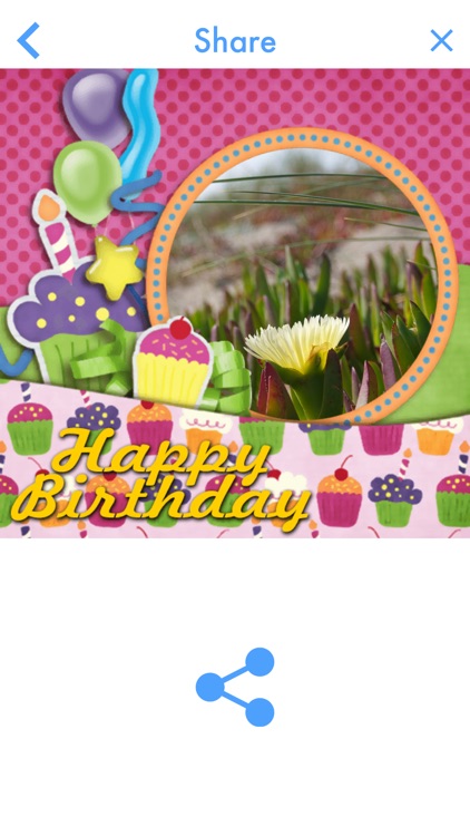 Birthday Photo Frame Maker 201