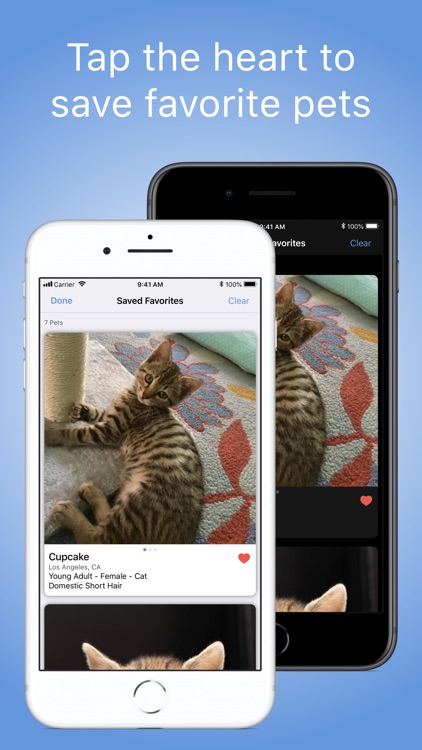 PetView360: Find & Adopt a Pet screenshot-4