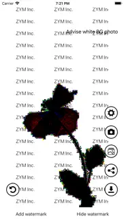 invisible watermark iphone bildschirmfoto 4
