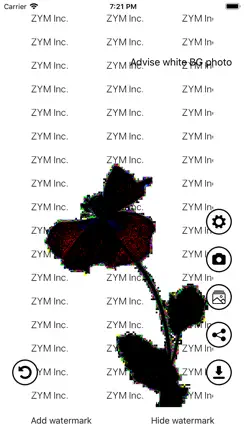 Invisible Watermark iPhone image 4