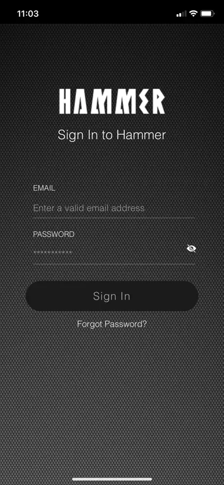 Hammer Support