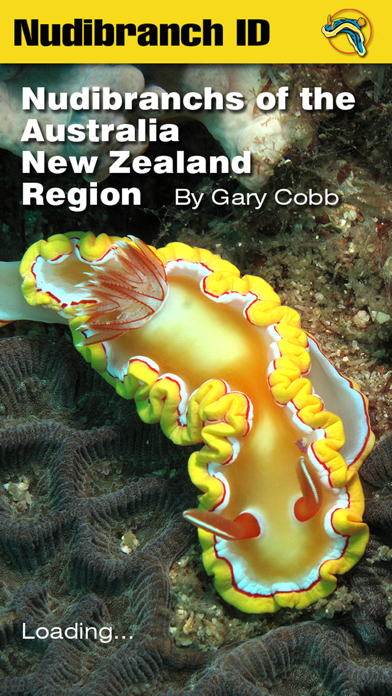 Nudibranch ID Australia NZ Screenshot