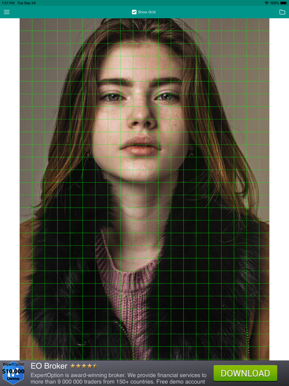 Screenshot #5 pour Drawing Grid For The Artist