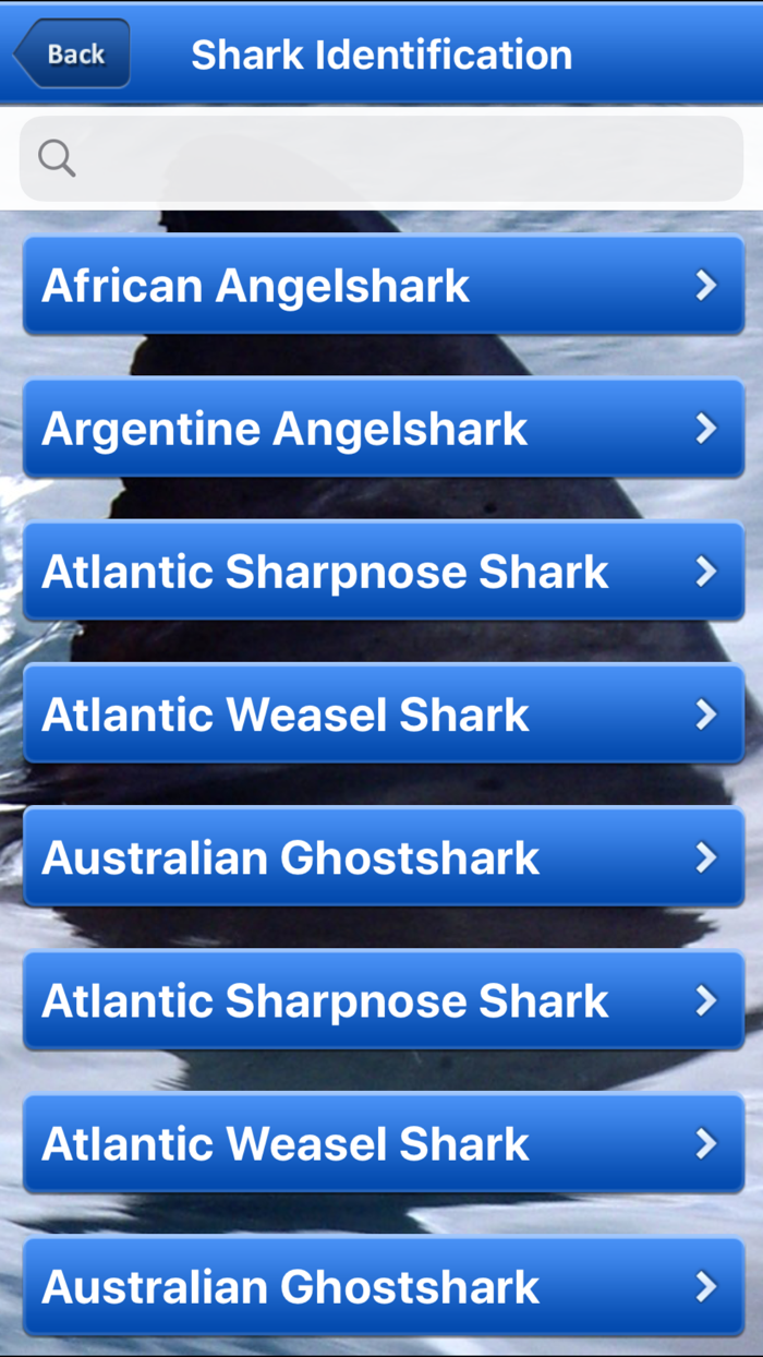Shark Bytes