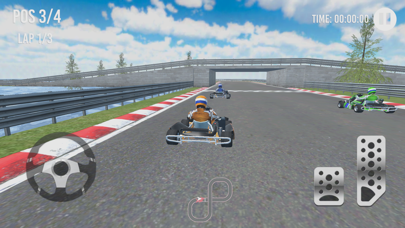 Go Kart Racing Cup 3D Screenshot