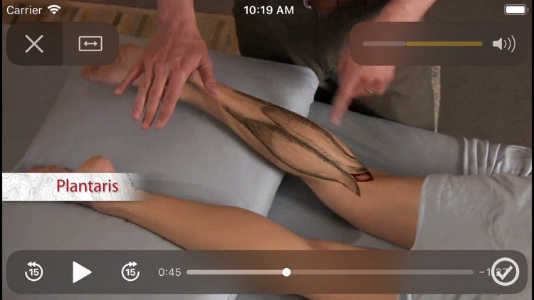 PalpationMapp screenshot-3