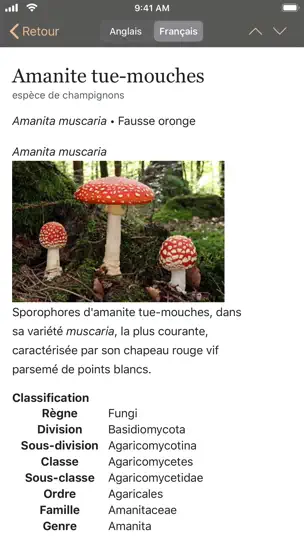 Capture d'écran de Champignons sur iPhone 5