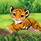 Icon Unblock Me - Tiger Rescue