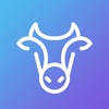 bull mining