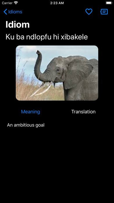 Xitsonga Dictionary Screenshot