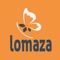 Lomaza rich collection of Mehndi design and Hairstyles design 