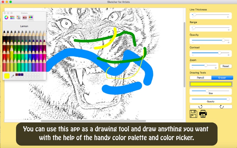 Screenshot #3 pour Sketcher for Artists