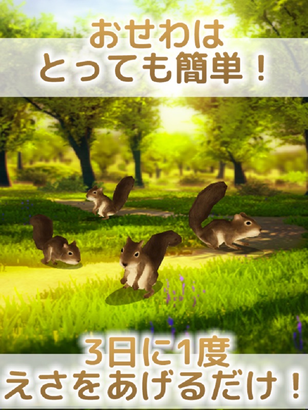 Squirrel Healing Life screenshot 5