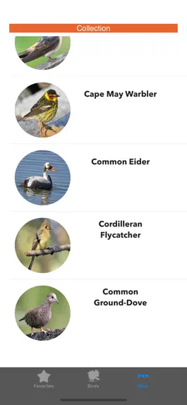 Game screenshot Birds of North America apk