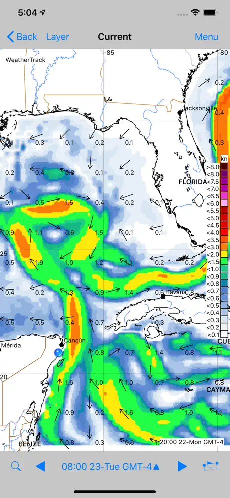 WeatherTrack GRIB