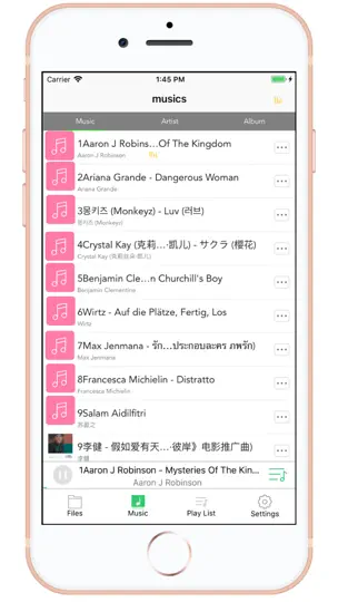 File Manager & Music Player iPhone Ekran Görüntüsü 2
