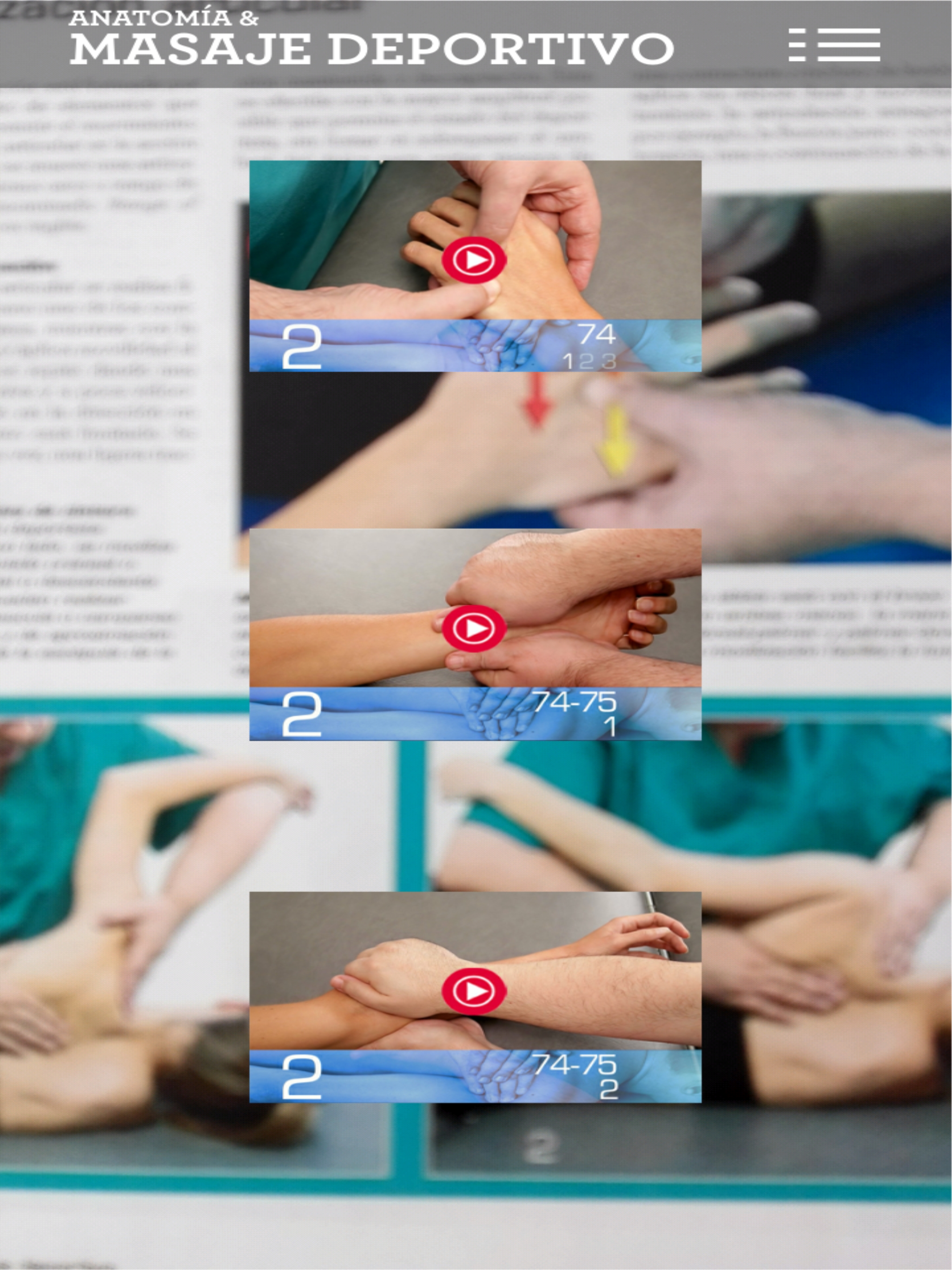 Anatomy & Sports Massage AR