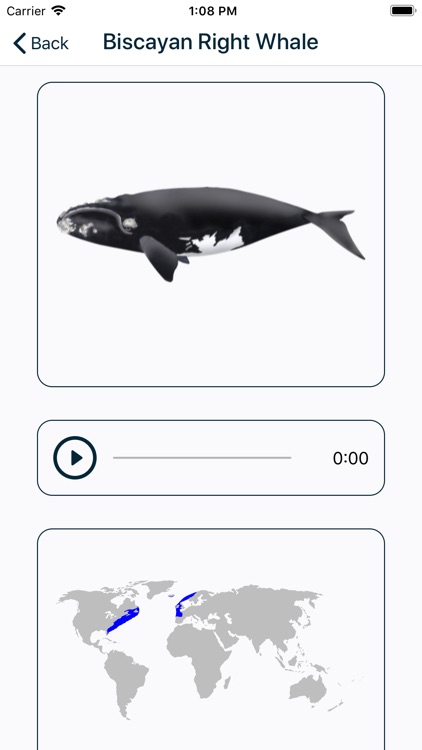 SCS - Swiss Cetacean Society screenshot-3