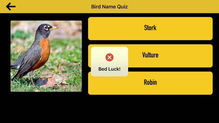 Bird Name Quiz screenshot-4