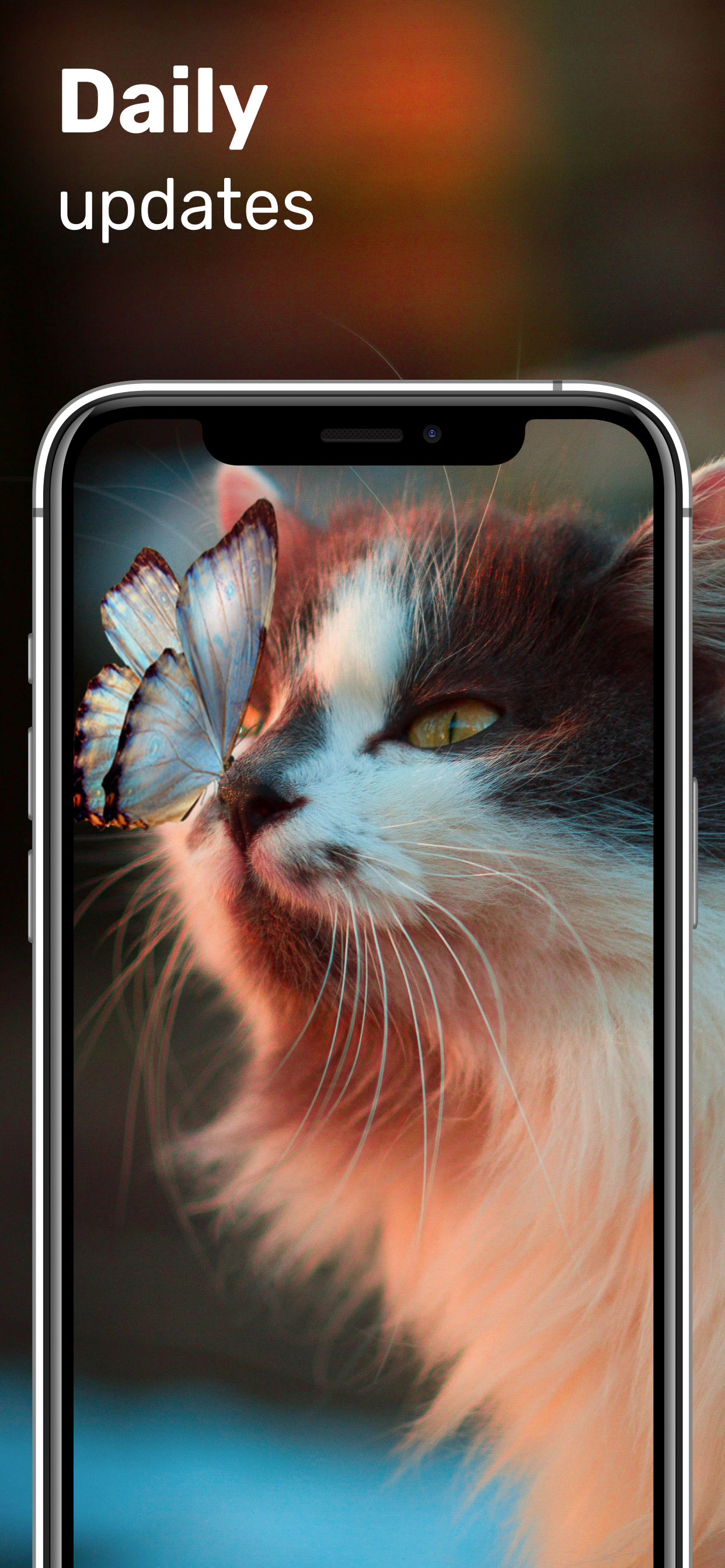 Pictures and Wallpapers HD screenshot 4