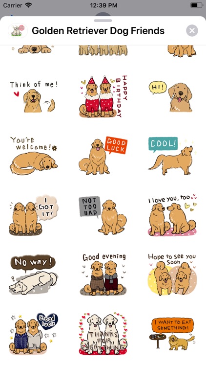 Golden Retriever Dog Friends screenshot-6