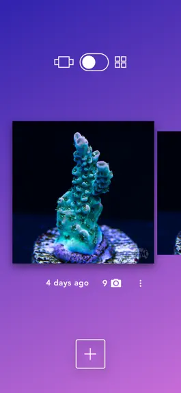 Game screenshot Aquarium Time mod apk