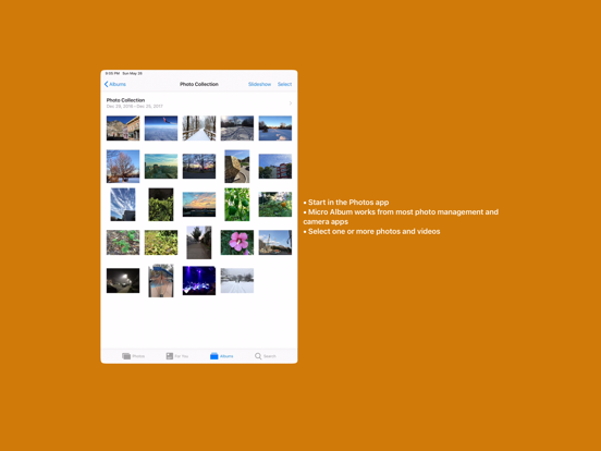 Screenshot #4 pour Micro Album