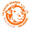 la vache orange