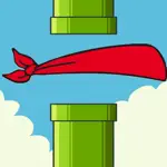Blindfold Flappy App Contact