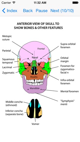 Instant Anatomy App Collectionのおすすめ画像4