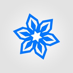 Amazing Snowflakes Stickers