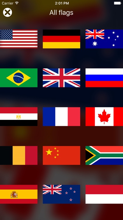 Guess Country by Flag screenshot-4